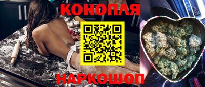 прущие грибы Севастополь