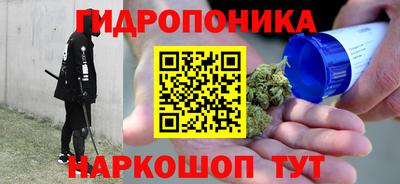 прущие грибы Севастополь