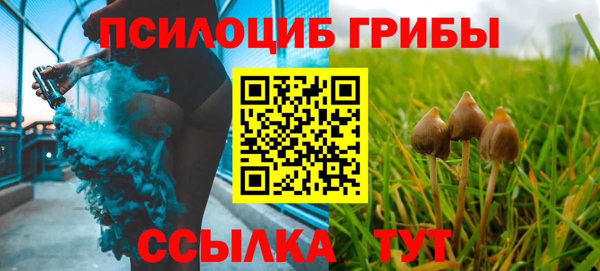 Псилоцибиновые грибы Cubensis Саратов