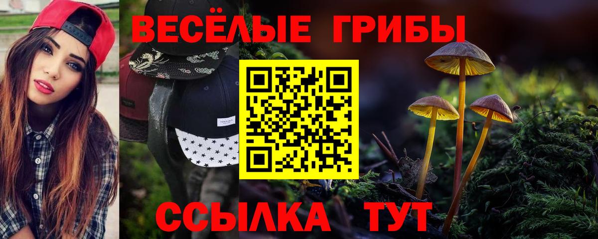 Псилоцибиновые грибы ЛСД  Вход с VPN  Галлюциногенные грибы Psilocybine cubensis  Саратов 